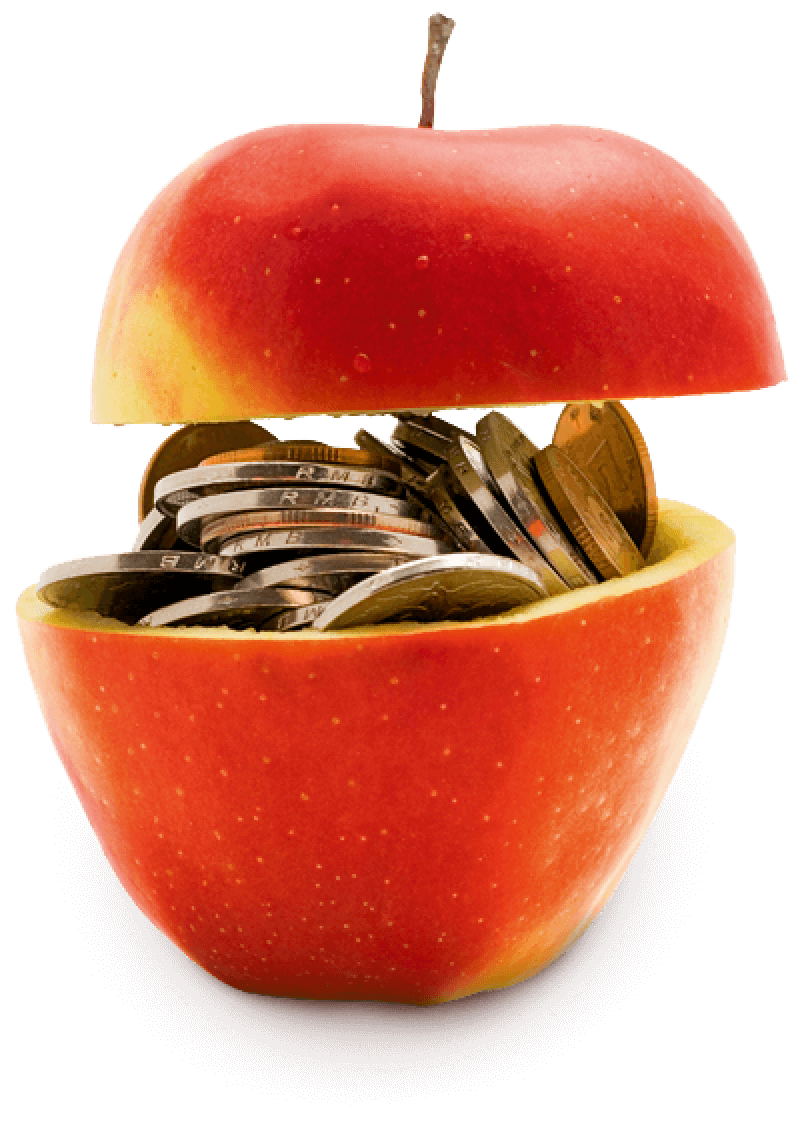 Cost of Meal Kits in Canada in 2024 The Cheapest Meal Kit