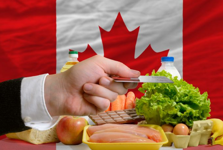 best-meal-kits-in-canada-for-2022-detailed-reviews